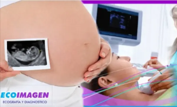 imagen Ecografías 